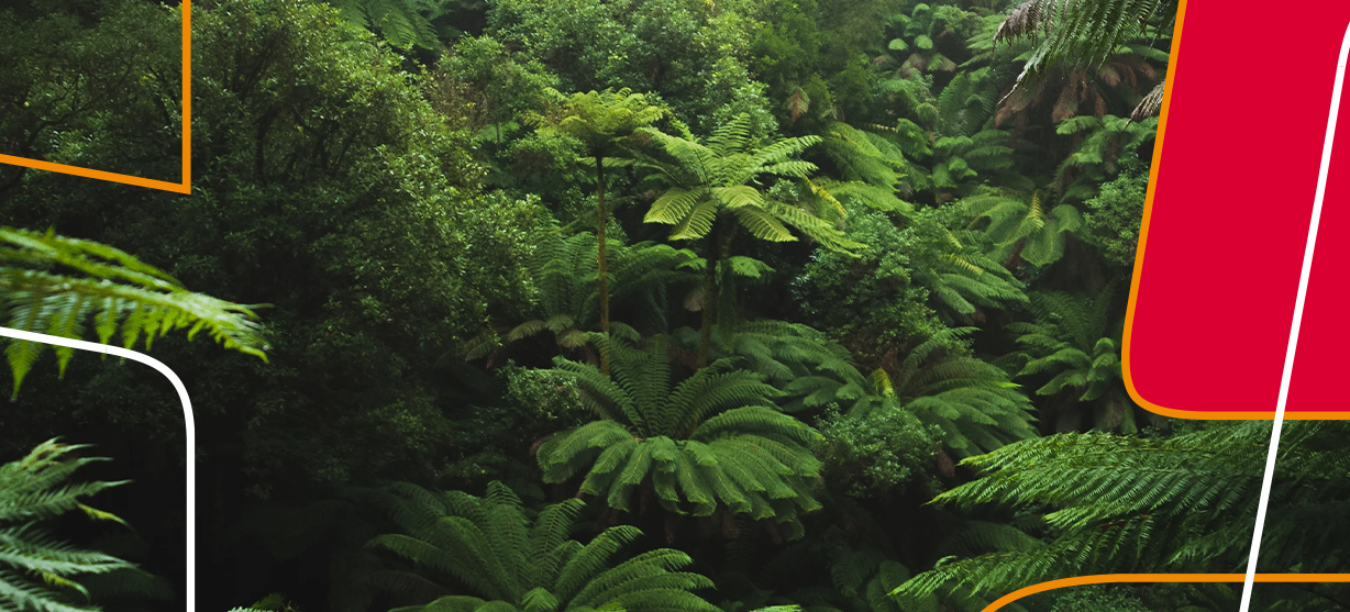 O que é uma empresa carbono neutro e quais as vantagens?